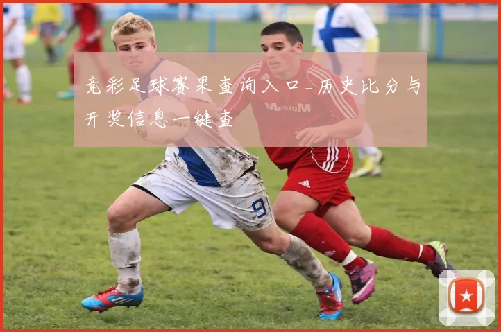 竞彩足球赛果查询入口_历史比分与开奖信息一键查